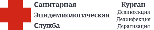 СЭС Кургана